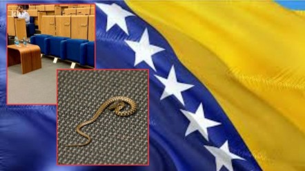 Bosna Hersek Meclis oturumuna yılan engeli! Yetkililer harekete geçti - Dünya