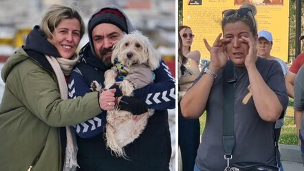 Evcil hayvanlarını köpek oteline bıraktılar! Kahreden haber sonrası aile davacı oldu - gundem