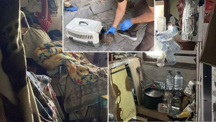 4 kamyon çöp, 12 kedi, 3 kaplumbağa! Çöp evden çıkan çıkana - Yaşam