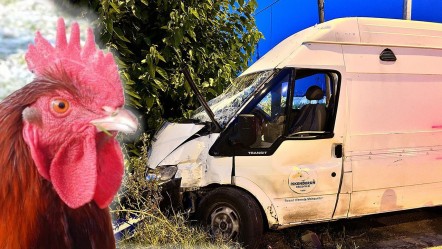 Horoza ilk yardım anları kamerada! Minibüsle otobüs birbirine girdi, kazazede onu düşündü - Gündem