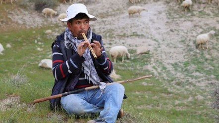 Hayvancılıkta yeni şartlar: İşte yabancı çoban kriterleri... - Ekonomi