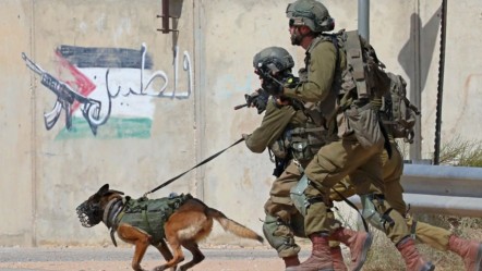 Köpekler bile silah oldu! Avrupa'dan gelen vahşet çocukların üstüne salındı - Dünya