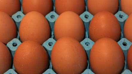 Yumurta fiyatlarının neden arttığı ortaya çıktı - Ekonomi