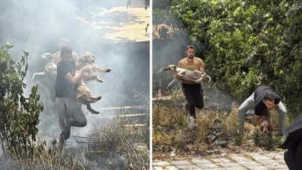 Alevlerin arasında kaldılar! Sahibi son anda yetişip hepsini kurtardı - 3. Sayfa