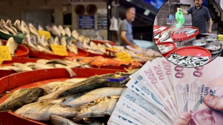 Havalar ısınıdır, tezgahlardaki bolluk beklentiyi aştı! Fiyat düştü, en ucuzu 50 TL oldu - Ekonomi