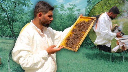 Yılda 2 bin ton üretiyor, kilosunu 300 TL'den satıyor! Yüzde 80 engelli üreticinin ilham veren girişim - Ekonomi