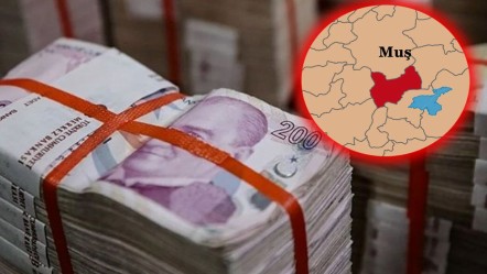 3 aylık çalışma için 1 milyon TL istedi! Muş'ta akılalmaz olay - Ekonomi