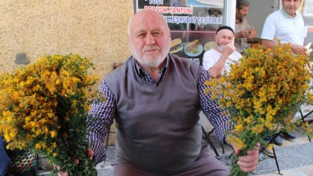 Bu çiçek sağlık için alınıyor! Mide yaraları dahil birçok yarayı iyileştiriyor, demeti 30 TL - Ekonomi