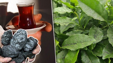 Çayınızın tadı kömürlü çıkarsa şaşırmayın! Çözülemeyen problem isyan ettirdi - Gündem