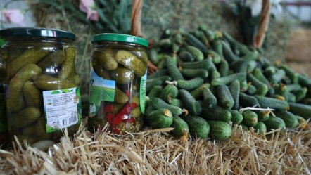 Geleneksel lezzet tarımı değiştirebilir! Yüzyıllardır soframızdan eksik olmuyor - Yaşam