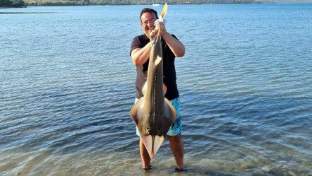 Görenler gözlerine inanamadı! Muğla'da oltaya takıldı - Yaşam