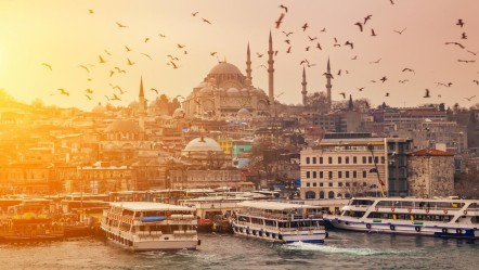 Türkiye dünyaya örnek oldu! Kedi dostu ülke seçildi - Dünya