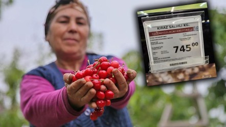 Aradaki fark kime gidiyor? Markette 745 TL'ye satılan kirazın tarla fiyatı pes dedirtti - Ekonomi