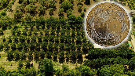 Aromasını toprak yapısından alıyor! Madeni 5 liradan büyük, kilosu 750 lira - Ekonomi
