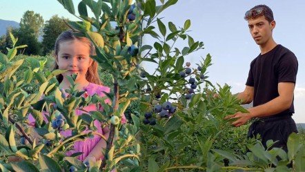 Bu yıl 15, seneye 45 ton mahsul alacak! 22 yaşında kendi bahçesini kurdu, siparişlere yetişemiyor - Ekonomi