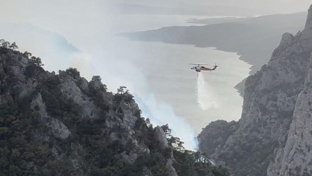Bir kentte daha ormanlık alana girişler yasaklandı - Gündem