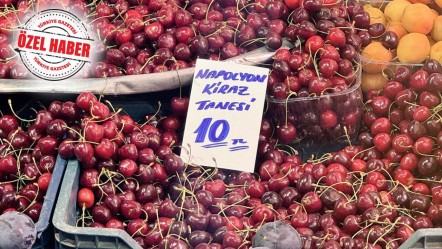 Meyvenin tadı kaçtı! Zirai don mutfaktan ihracata, turizmden restorana kadar tüm sektörleri vurdu - Ekonomi