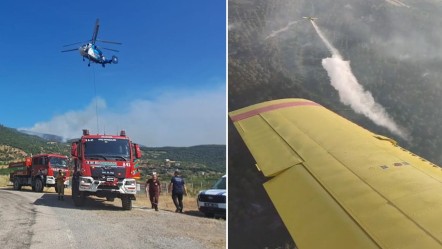 Balıkesir'deki orman yangınları kontrol altında! Biçerdöver iddiasına 5 gözaltı var - Gündem