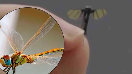 Sivrisinek boyutunda, tespiti neredeyse imkansız! Savaşlar yeni dronlar ile boyut atılıyor - Gündem