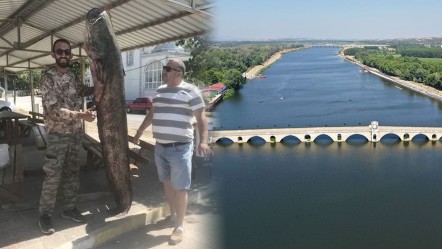 Meriç Nehri'ne açıldı, oltasına piyango vurdu! Tam 80 kilogram ağırlığında - Yaşam