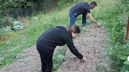 Özel izin alıp üretiliyor: 2 yıl önce merak edip başladılar, şimdi paraya para demiyorlar! "Herkese tavsiye ederiz" - Ekonomi