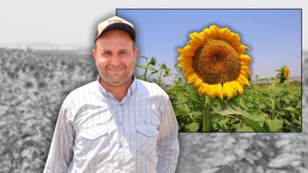 Üretim başladı, cepler doluyor! Sosyal medya meraklılarının uğrak yeri - Ekonomi