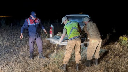 Van'da kaçak avlanan 1 ton 500 kilogram inci kefali ele geçirildi - 3. Sayfa