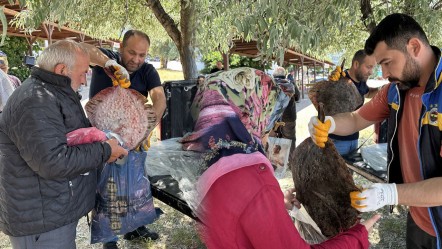 En değerli balıklar arasında... Ekipler yüzlercesine el koydu, vatandaşlara ücretsiz dağıttı - Yaşam
