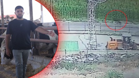 Sinirli ve vahşiler! 3'ü de sırra kadem bastı, zarar 300 bin lira - Gündem