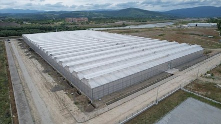 Zonguldak'ta kuruldu! Türkiye ekonomisine yıllık 750 milyon lira katkı verecek - Ekonomi