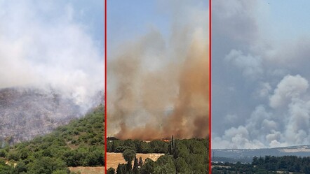 Birçok noktada yangın! Dumanlar gökyüzünü kapladı - yasam