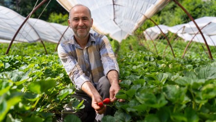 Daha az su, daha çok verim... Uludağ’da sürdürülebilir tarım hamlesi! - Ekonomi