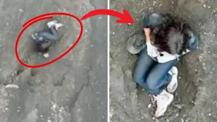 Dünya bu görüntüleri konuşuyor! Aktif yanardağın yanında... Kurtarılmayı bekliyor - Dünya