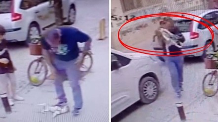 İnsafsızlığın bu kadarı! Kucağındaki köpeği yere fırlattı: O anlar kamerada - 3. Sayfa