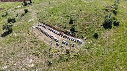 Tüm üreticiler kan ağlarken bu işi yapanın yüzü gülecek! Kilosu 1500 lira... - yasam