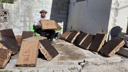 Bulduğu çözüm görenleri şaşırtıyor! Bir haftada 16 karton doldu... "Bu yıl daha fazla" - 3. Sayfa