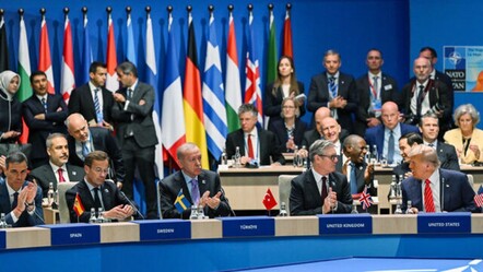 NATO kararı sonrası dünya liderleri konuştu! Türkiye'ye özel teşekkür - dunya