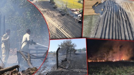 Trakya cayır cayır yandı! Yangınlarda binlerce dönüm ekili arazi zarar gördü - Gündem