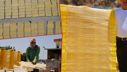 Tamamı organik, 25 bin ton üretiliyor... Avrupa sofralarına cips olarak girdi, kilogramı 250 lira! - Ekonomi