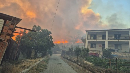 İzmir'deki orman yangını saatler sonra kontrol altına alındı! - Gündem