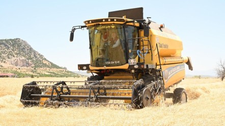 Tam bir hububat deposu! Hasat başladı, Vali biçerdöverin başına geçti - Ekonomi