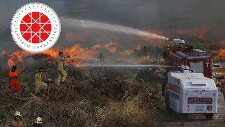 8 orman yangınına karşı havadan ve karadan mücadele sürüyor: 25 bin personel teyakkuz halinde - Gündem