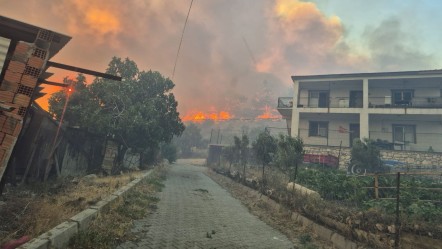 Mardin'den Tekirdağ'a, Sakarya'dan Antalya'ya... - Gündem