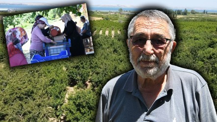 Tanesi 22 gram, çay bardağına sığmıyor! Avrupa ve ABD 'Lapseki devi'nin peşinde - Ekonomi