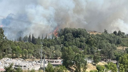 Belediye kulak tıkadı, alevler ormana yürüdü! Buca'da ihmalin faturası ağır oldu - Gündem