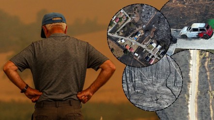 Felaket gerisinde bunları bıraktı! İşte Sakarya, İzmir ve Bolu'daki yangınların tahribatının en çarpıcı görüntüsü - 3. Sayfa