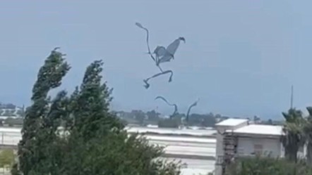 Yaz ortasında hortum şoku! Çatılar havaya uçtu, üreticiler zararda - Yaşam