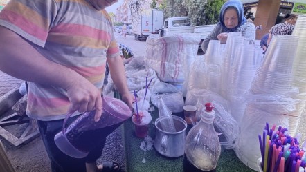 3 bin metreden topluyorlar 40 derece sıcakta satıyorlar: 6 çeşidi var! Adını duyan serinliyor - Yaşam