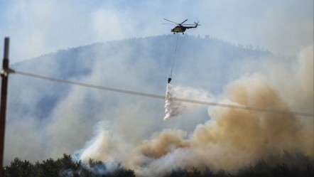 Alevler 50 bini aşkın kişiyi yerinden etti! İki şehir afet bölgesi ilan edildi - Gündem