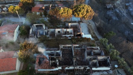 Alevler 50 bini aşkın kişiyi yerinden etti! İki şehir afet bölgesi ilan edildi - Gündem